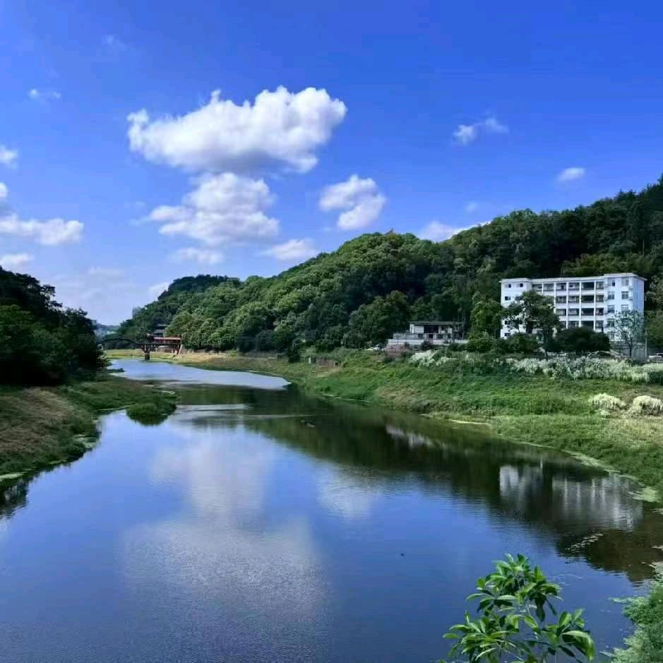 药材王子