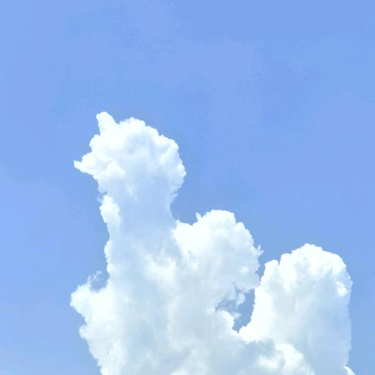华门哥