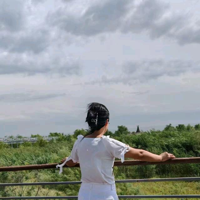 听从我心