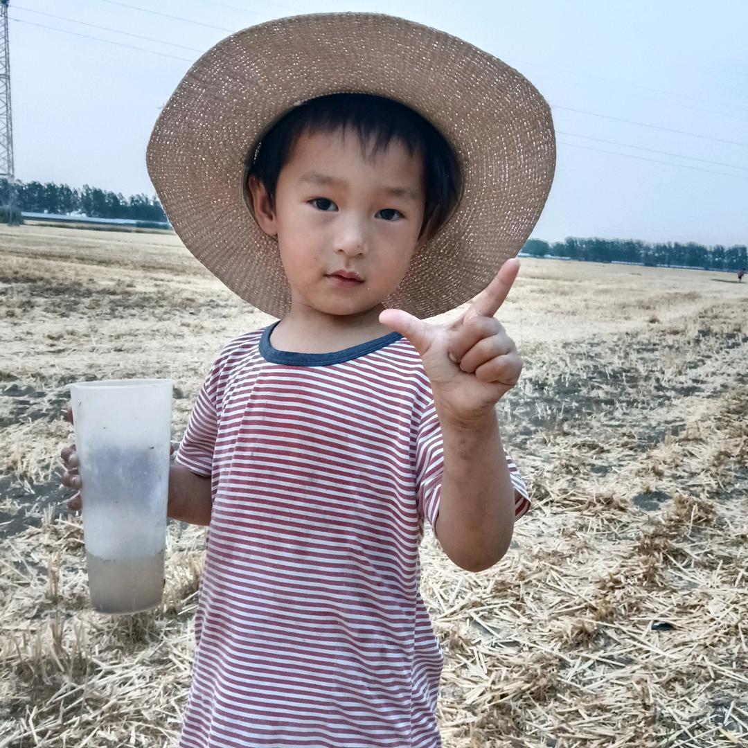 阳光玫瑰葡萄