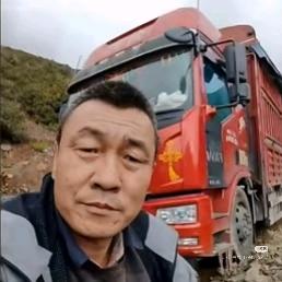 AAA地瓜批发宇杨哥