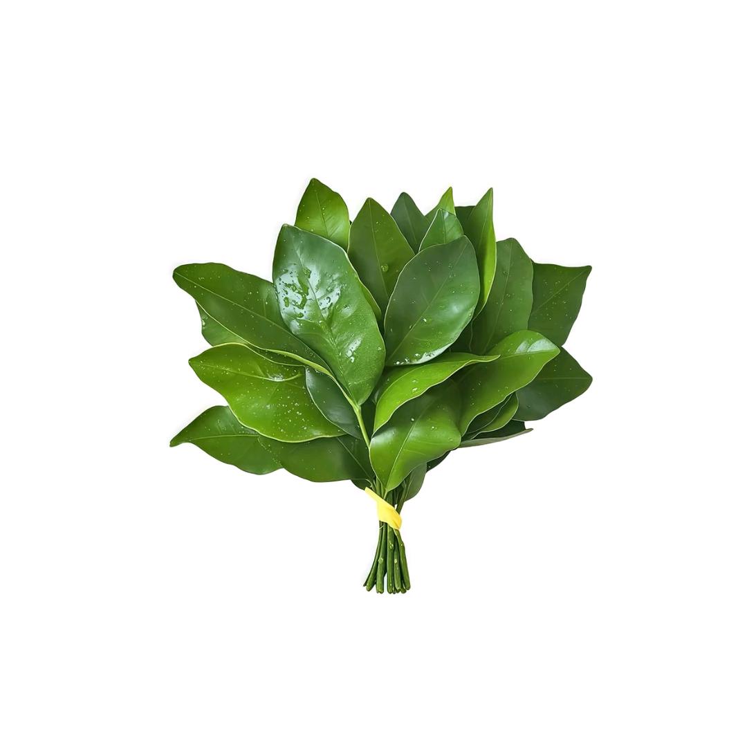 易沐