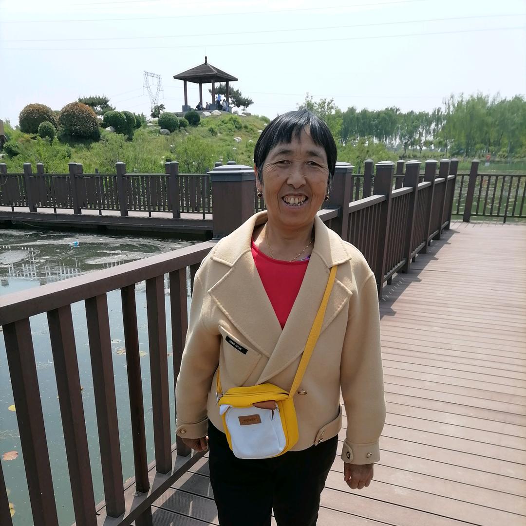 七宝奶奶