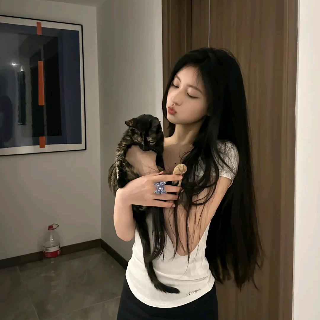 懒猫