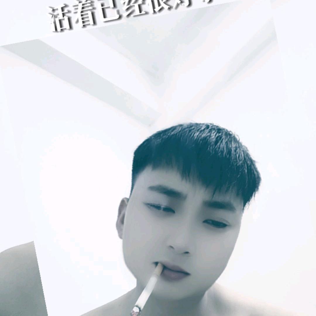 陇飞