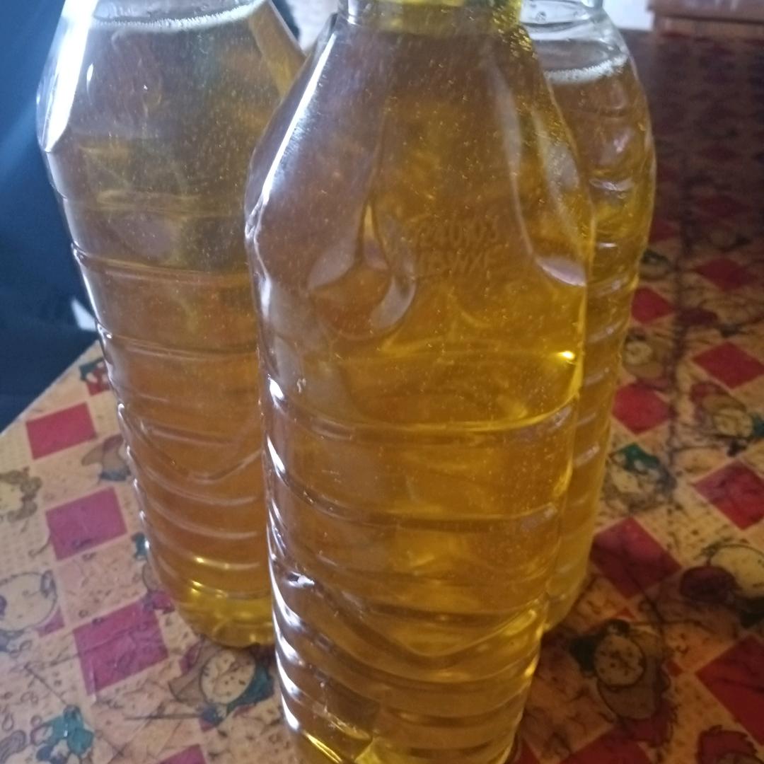 凤凰涅槃