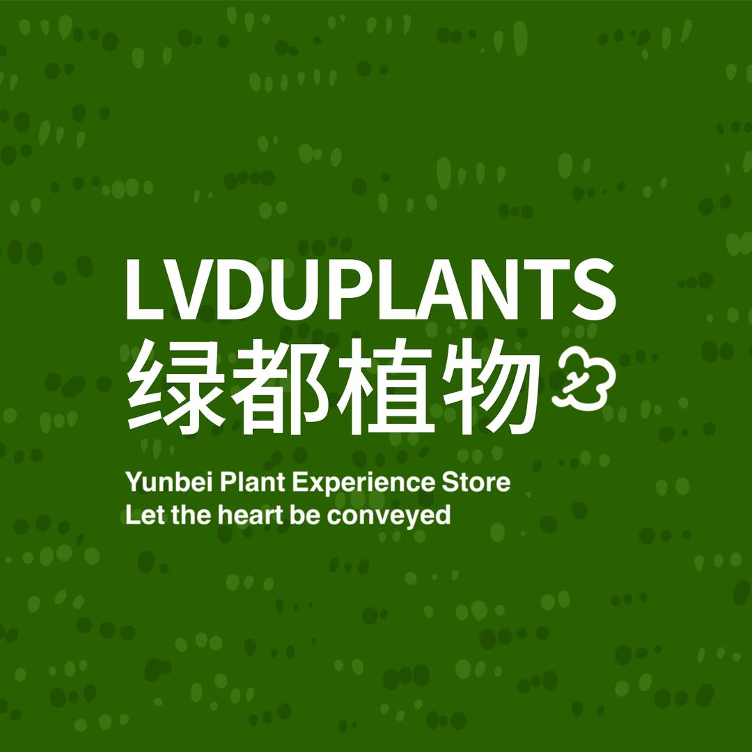 绿都园艺（植物）河南灵宝总店