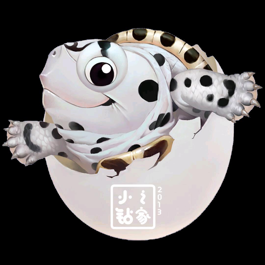 小钻之家