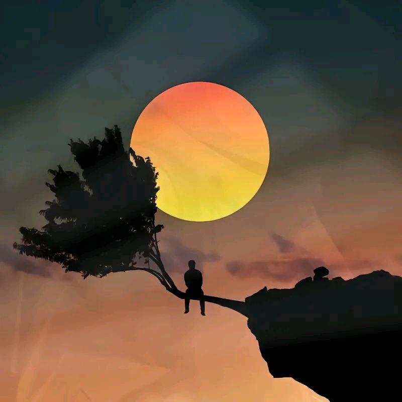 浮生若梦为欢几何