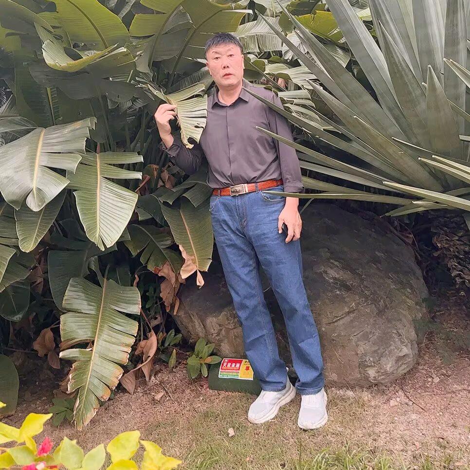 中国宏利