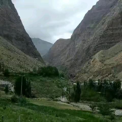 🌹🌹莎车 图先生💞💞