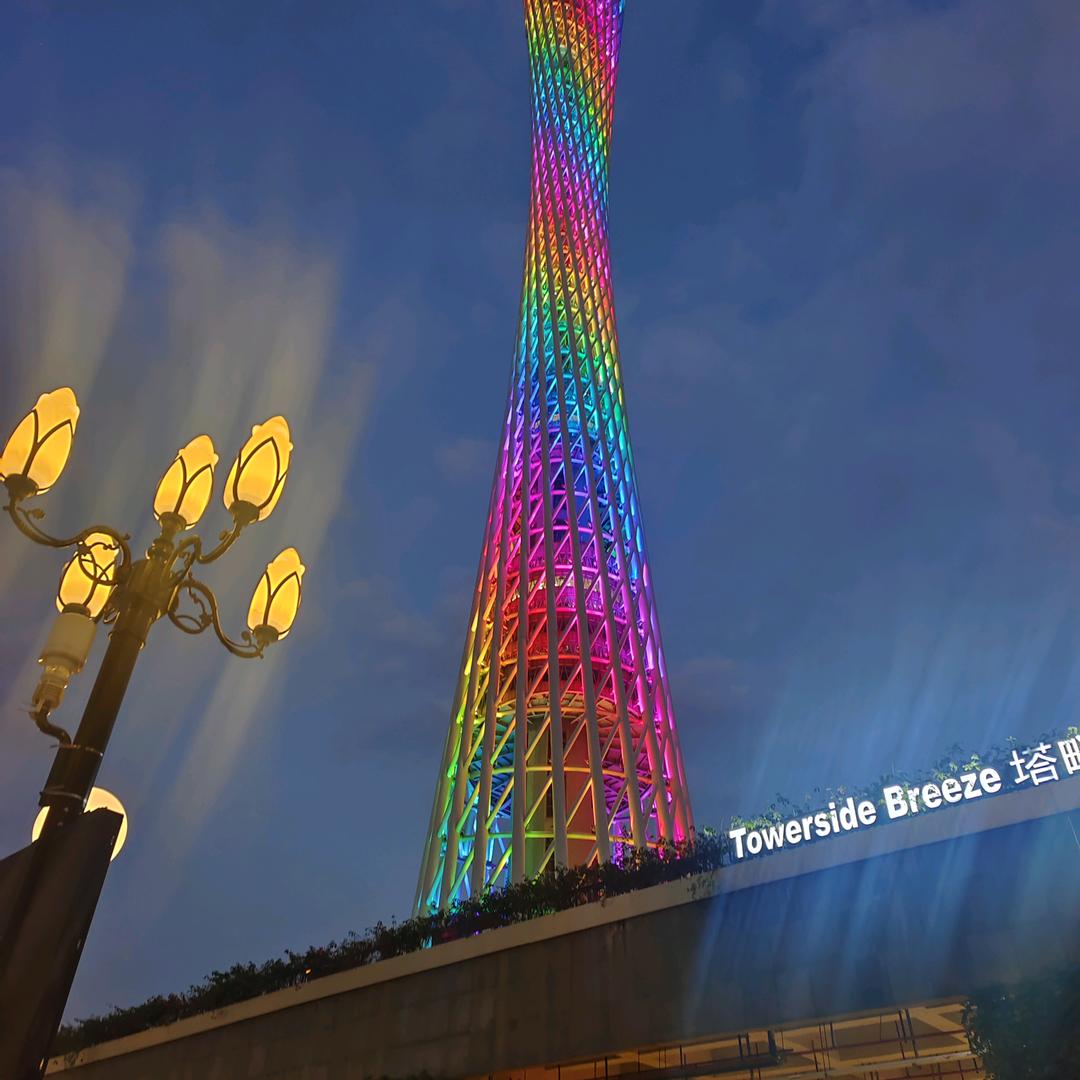 情为何物，看淡一切