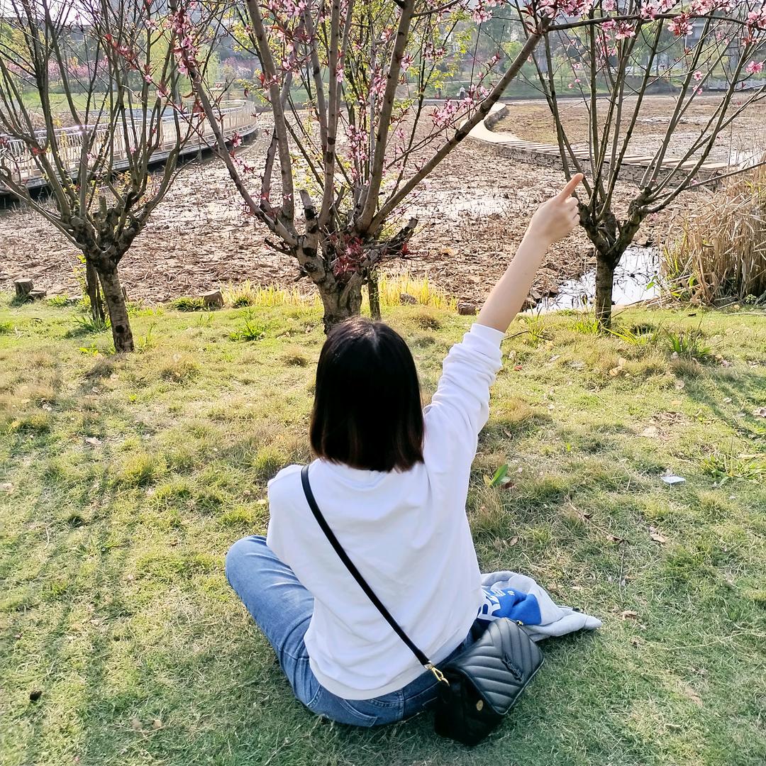 🍀风吹半夏🍀