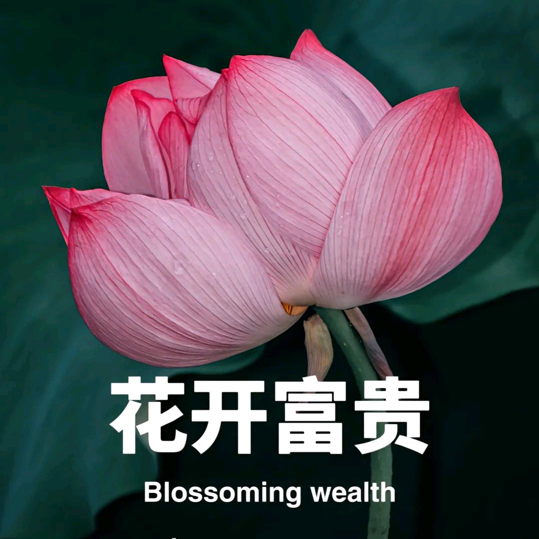 下定决心改变自己