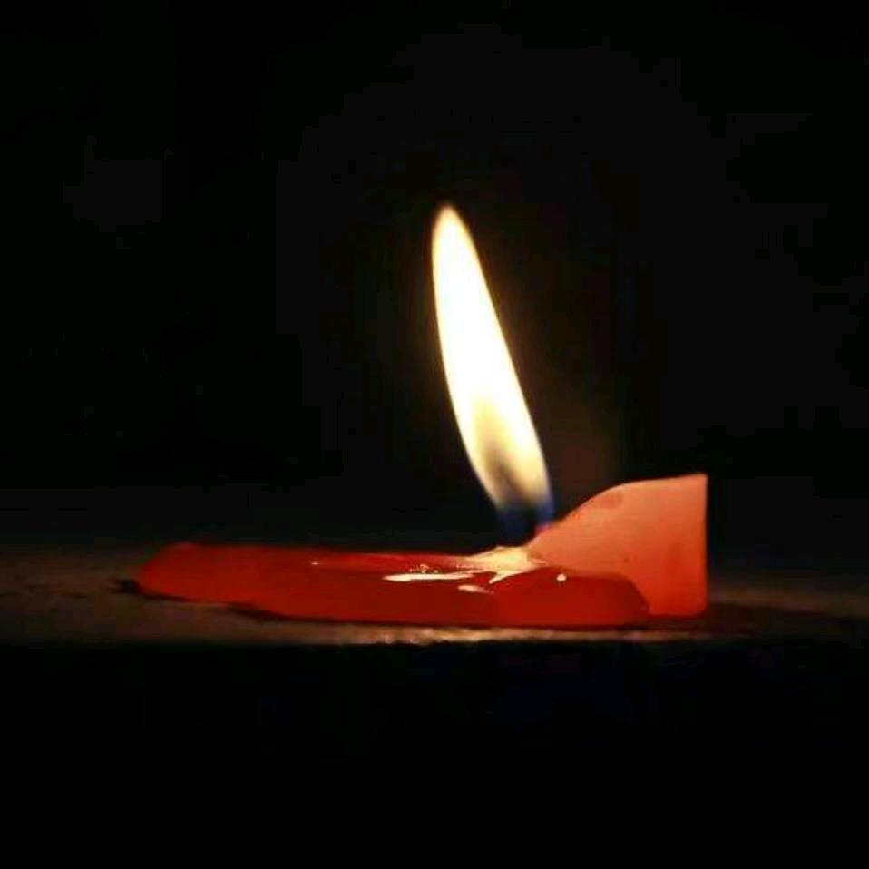 光           棍先生