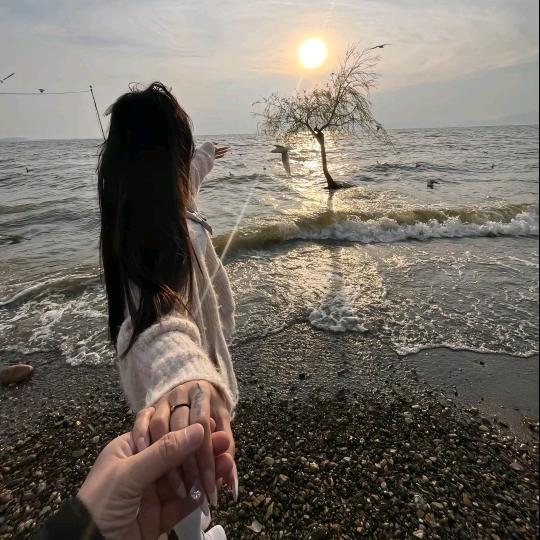 草民🌴