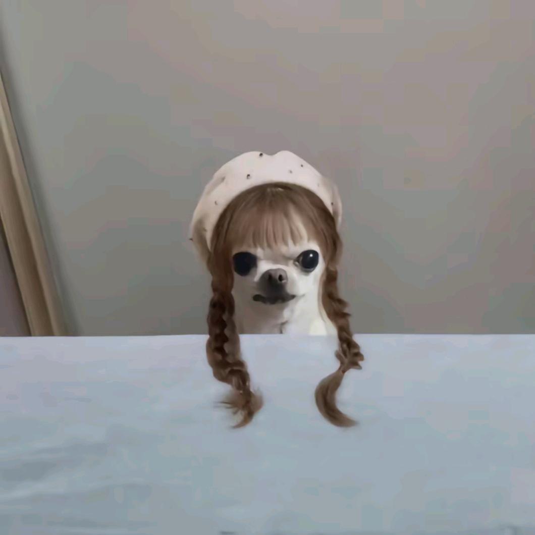 脆弱的西红柿