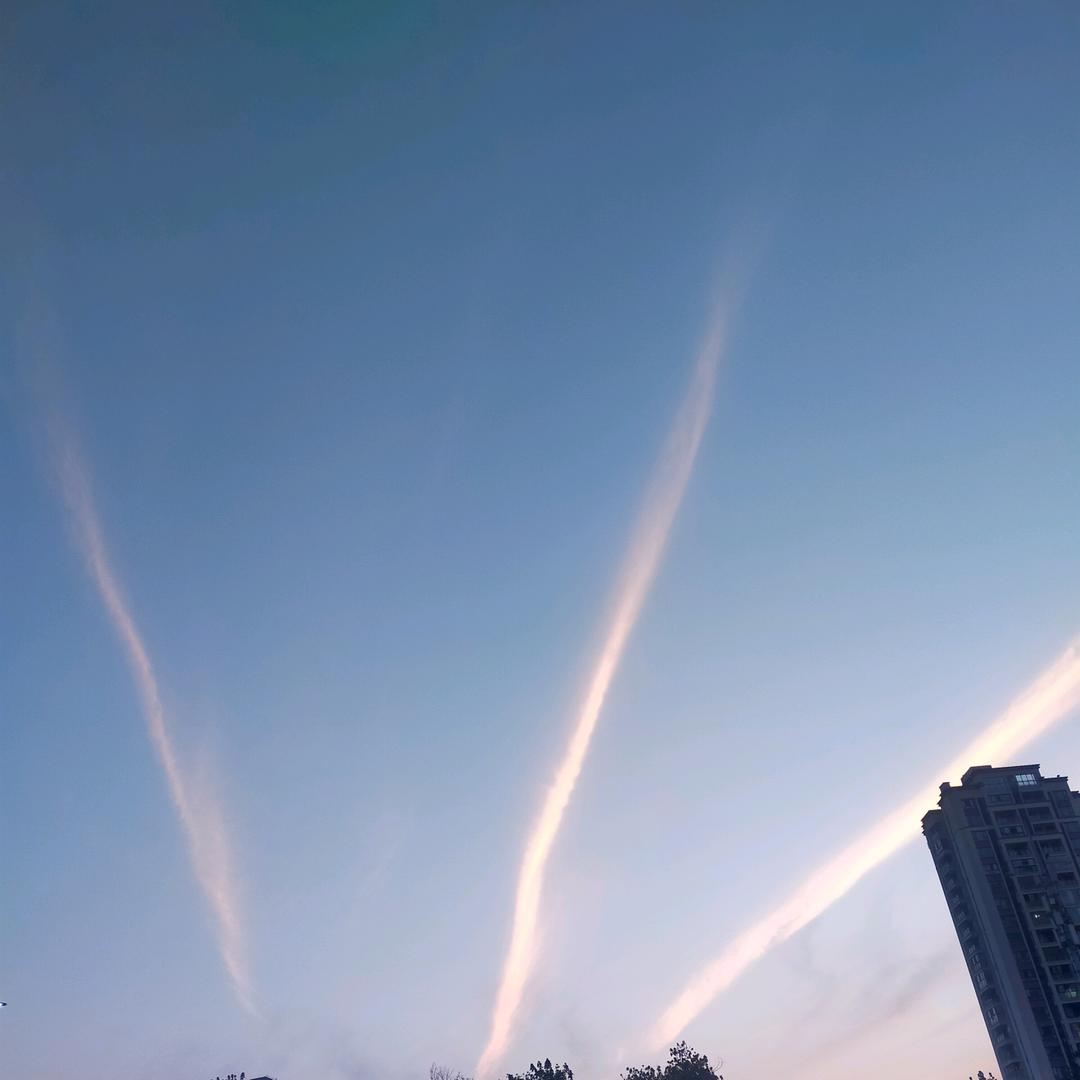 @橙子🍊