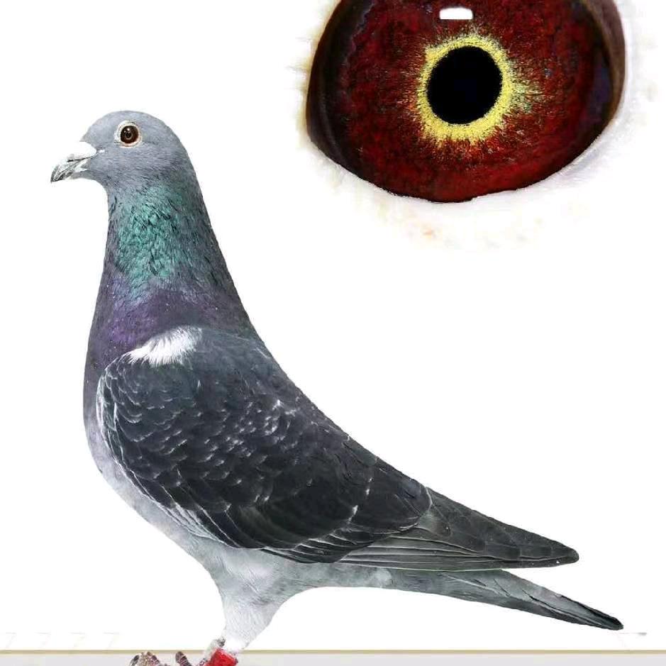 自信人生三千年