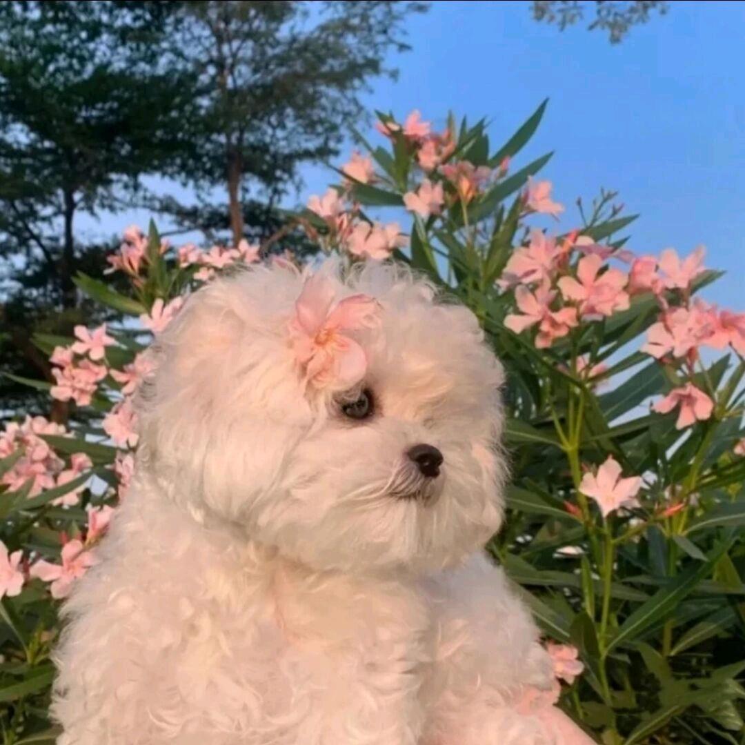 一号线