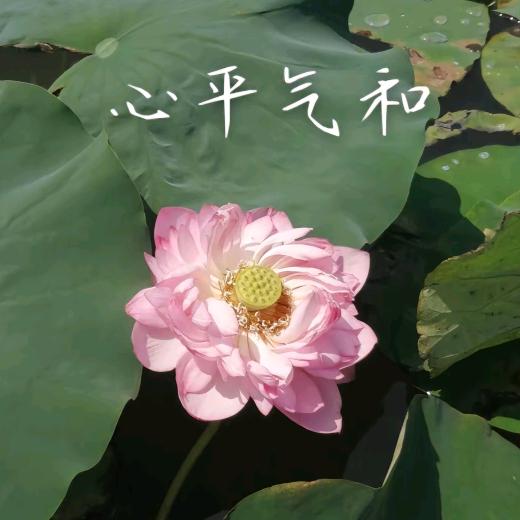 平平安安