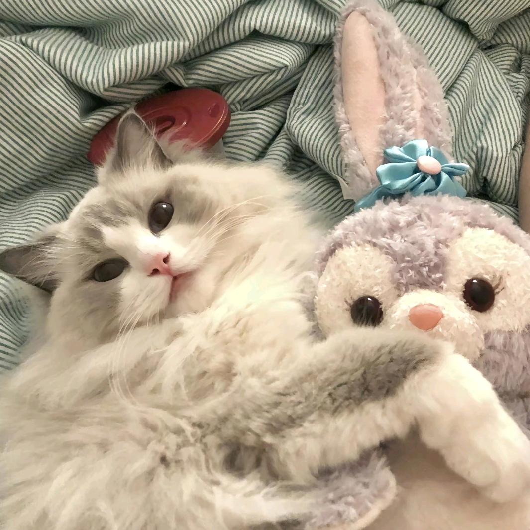 麻辣丸子味汤圆