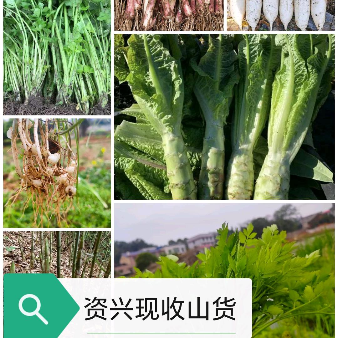 乡野新鲜铺零售店