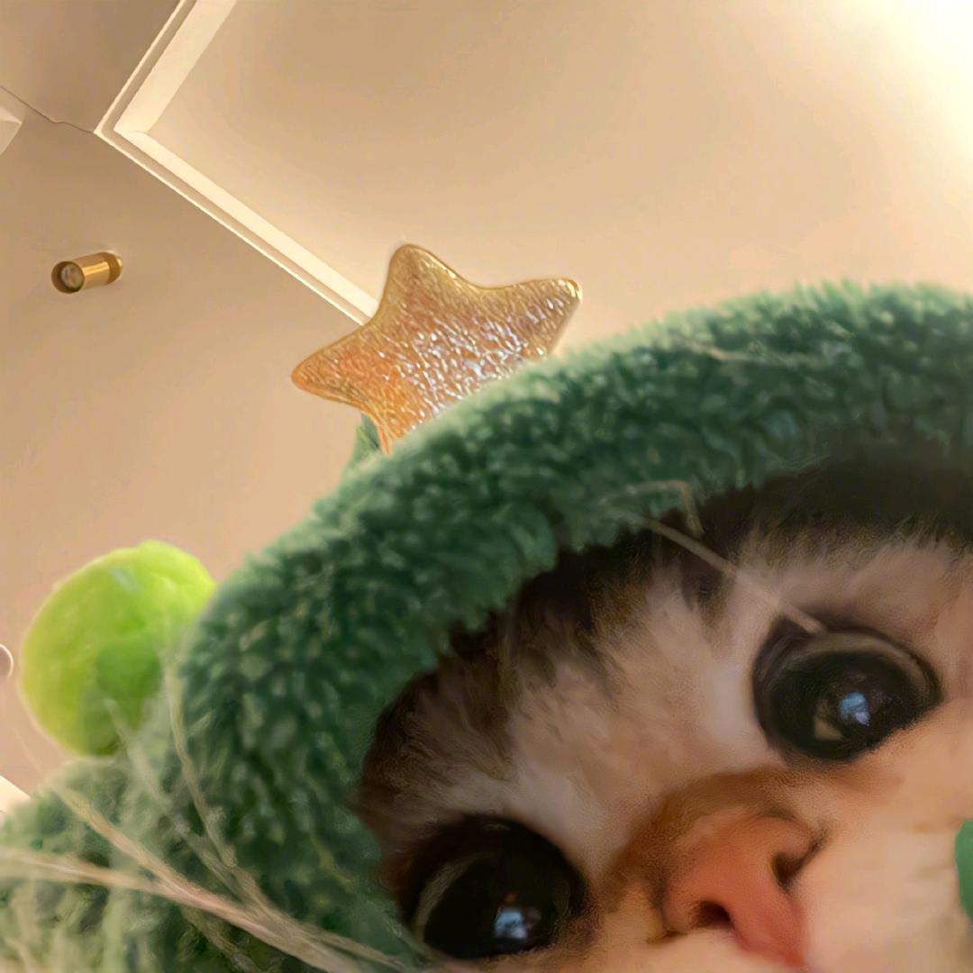 可爱是我的猫🐱