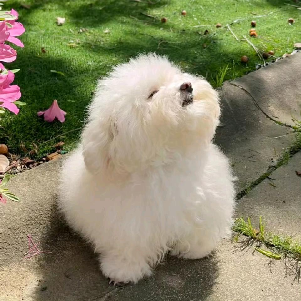 办办历险记