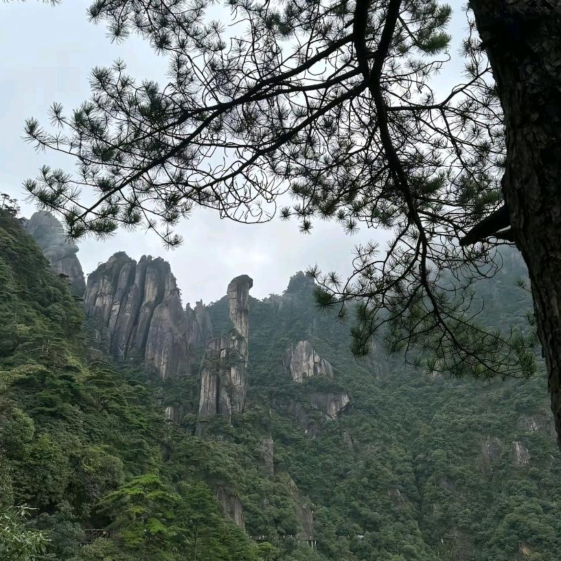 汪藏海