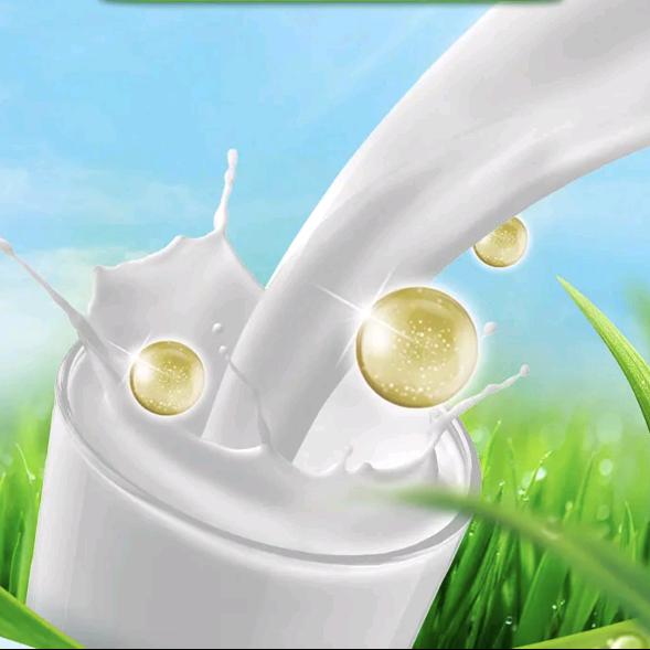 俄罗斯食品进口奶粉