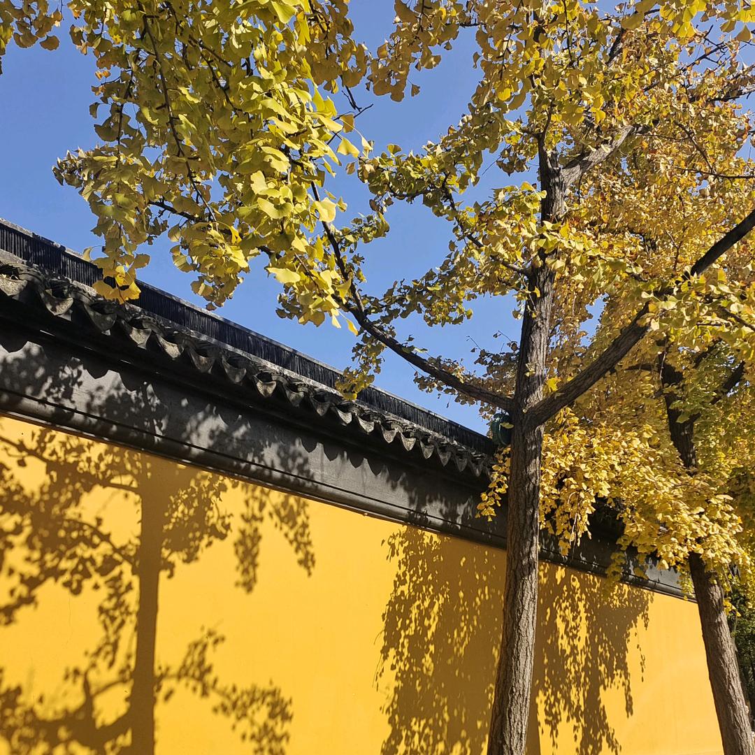 狮子座的保洁姐