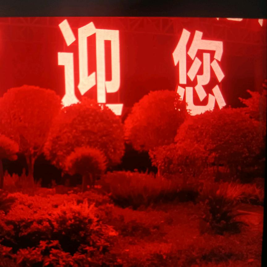 从此退出江湖，陪你东山再起