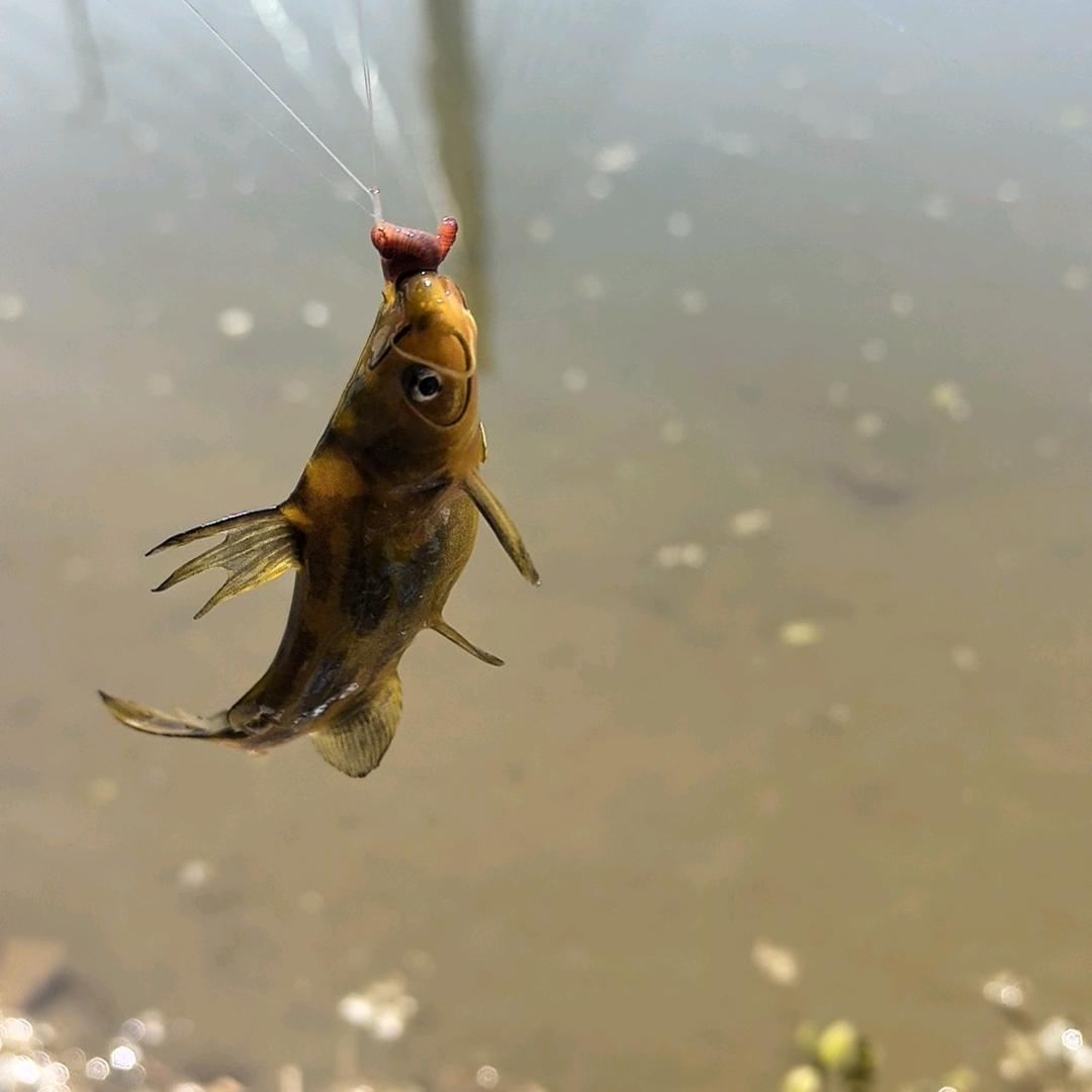 ﷽﷽﷽﷽﷽﷽﷽﷽﷽﷽﷽﷽﷽﷽﷽﷽﷽ 好人