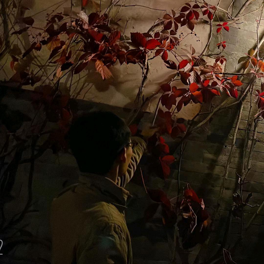 𝑍𝑒𝑟𝑜𝑃𝑙𝑢𝑠.✨