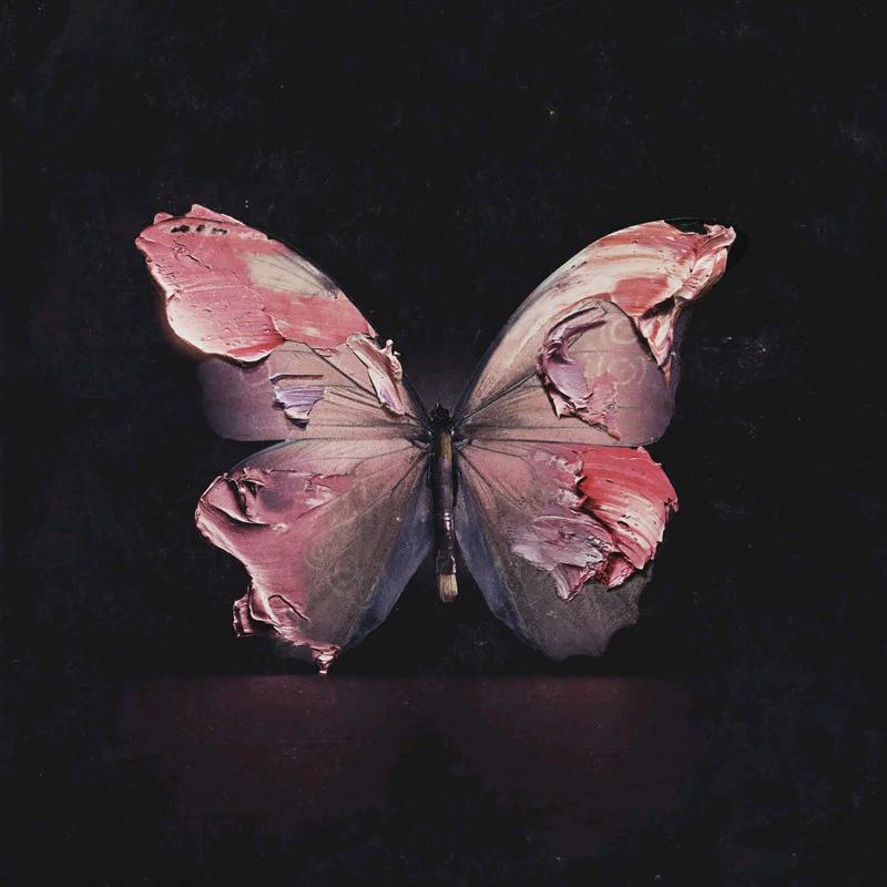 没头脑•᷄ࡇ•᷅