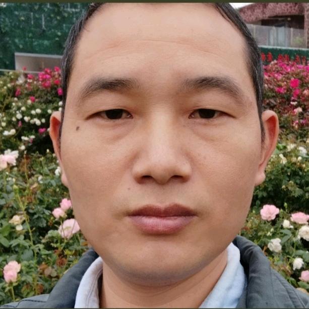 天时地利人和稻田🦆生态放养。