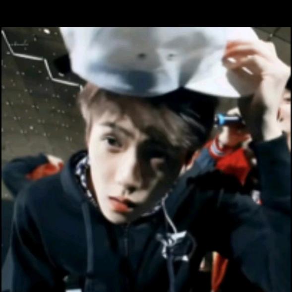 到处都是七里香