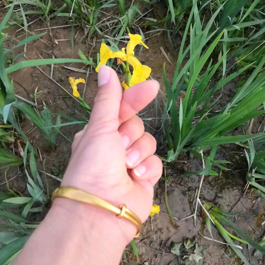 八零后辣妈🙈