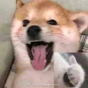 小歪