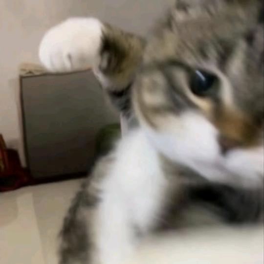 吃一口奶晞