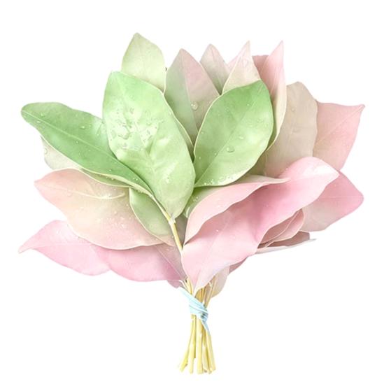 咖啡不加糖•ᴥ•