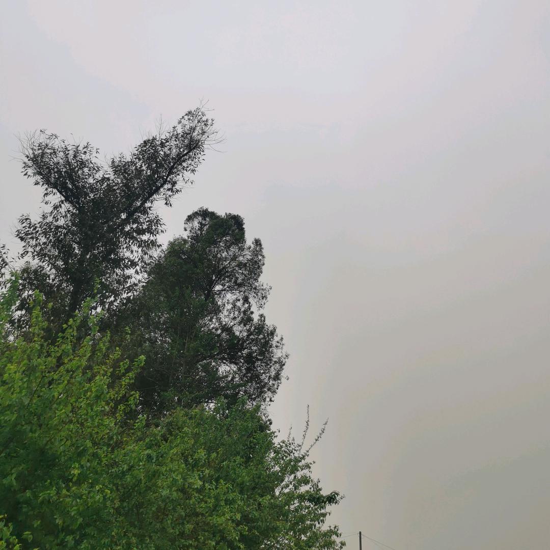 迷失自我