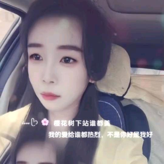 晓米赛鸽(战士)