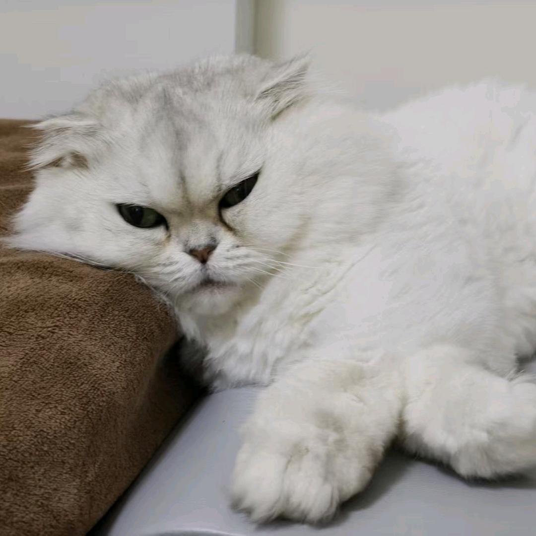 遂硕商贸家居好物集