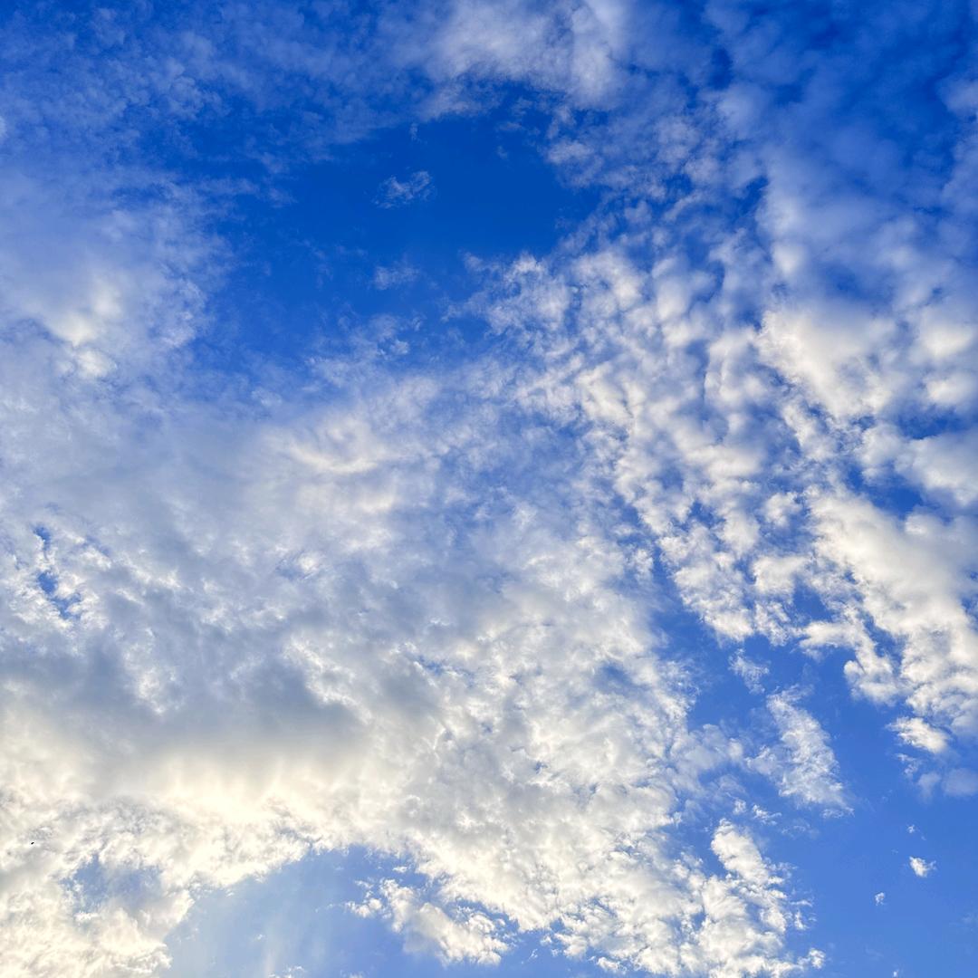 钟祥市秦昌百货店