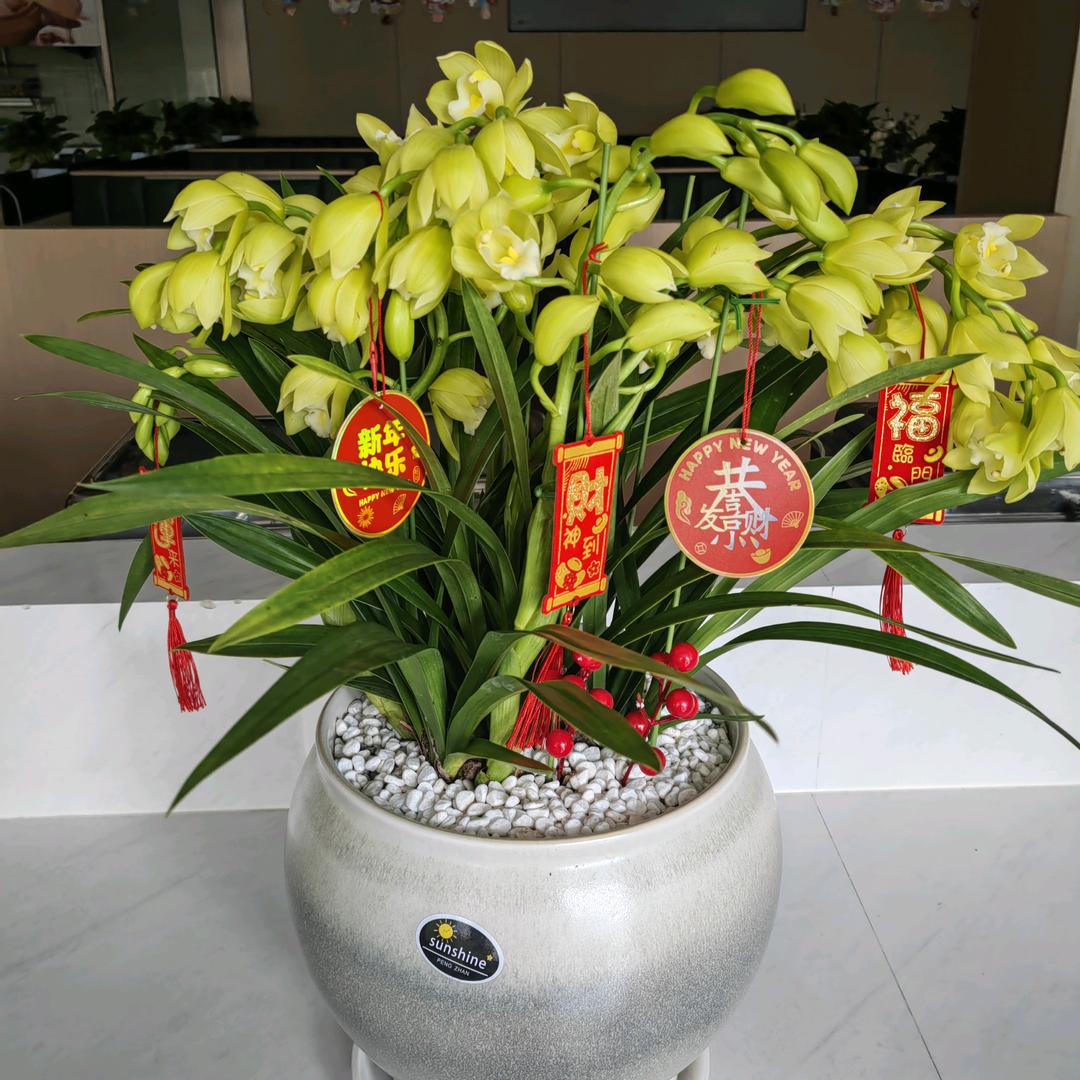 南明