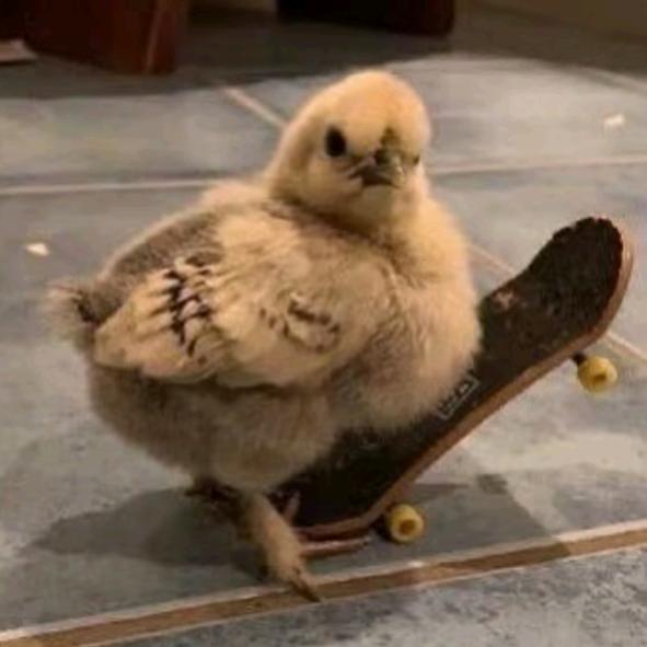 🌈🌈🌈在在在，