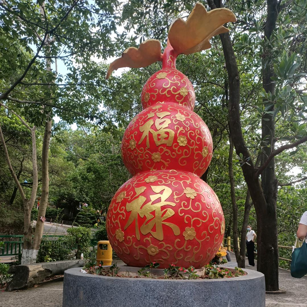 紫哥