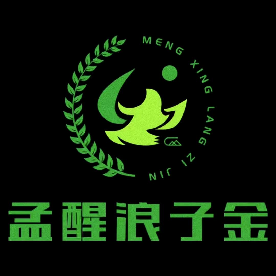 孟醒浪子金